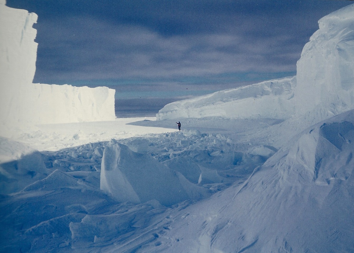 on the sea ice on the sea ice